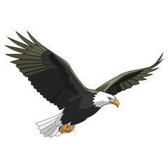 Majestic Bald Eagle Soaring High in the Sky.