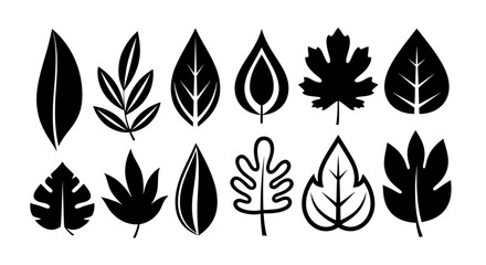 A diverse set of stylized leaf silhouettes, including solid and outline icons. Black vector plant shapes for modern botanical and nature designs, isolated.