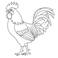 rooster, drawing, lineart, coloring, bird, farm, animal, poultry, cock, feathers, beak, comb, tail, outline, sketch, printable, kids, barn, rural, nature, livestock, cluck, wings, scratch, perch, crow
