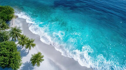 Aerial View of Tropical Beach with Turquoise Sea and Lush Green Trees on Sandy Shoreline in Bright Daylight
