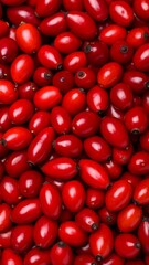 Close-up of many vibrant red rose hips (1)