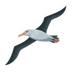 Majestic albatross soars with incredible wingspan, embodying freedom and grace in the vast ocean, perfect for travel, nature, and wildlife projects