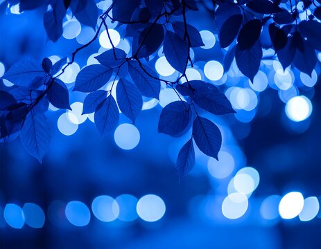 Blue leaves silhouettes against bokeh lights