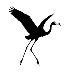 seagull, bird, flying, drawing, lineart, illustration, wings, feathers, flight, ocean, sky, animal, realistic, nature, coastal, marine, wildlife, freedom, outline, sketch, printable, coloring, white, 