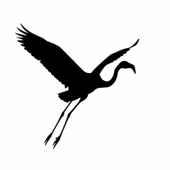 Fototapeta premium seagull, bird, flying, drawing, lineart, illustration, wings, feathers, flight, ocean, sky, animal, realistic, nature, coastal, marine, wildlife, freedom, outline, sketch, printable, coloring, white, 