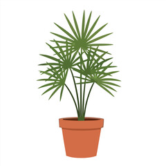 Lush green fan palm houseplant in a terracotta pot. Vector botanical illustration isolated on a white background for interior decor concepts