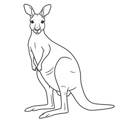 kangaroo, vector, outline, drawing, lineart, animal, wildlife, marsupial, Australia, sketch, illustration, graphic, clipart, design, nature, mammal, pose, tail, ears, legs, jump, pouch, wild, creature