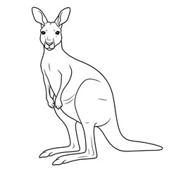 kangaroo, vector, outline, drawing, lineart, animal, wildlife, marsupial, Australia, sketch, illustration, graphic, clipart, design, nature, mammal, pose, tail, ears, legs, jump, pouch, wild, creature