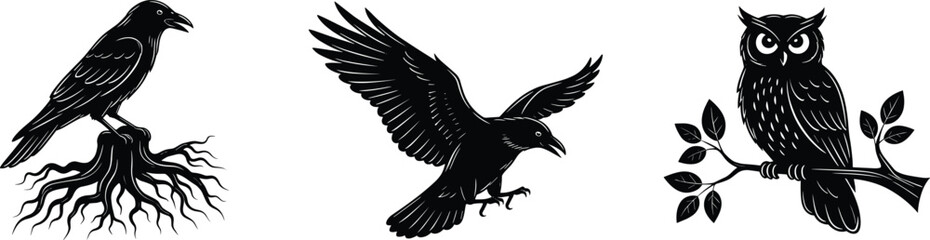 Silhouette illustration of raven and owl birds, perched and flying, gothic spooky design perfect for halloween, mystery, folklore, fantasy artwork vector