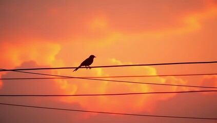 Lone Bird Silhouetted Against Fiery Sunset Sky