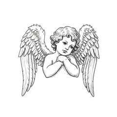 angel, cherub, wings, vector, clipart, lineart, vintage, spiritual, baby, divine, holy, drawing, guardian, heaven, peaceful, illustration, sacred, prayer, child, sketch, cute, classic, baroque, celest