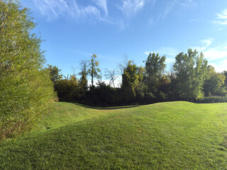 Sunny Green Meadow with Trees and Blue Sky