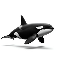 Obraz premium dolphin isolated on white background