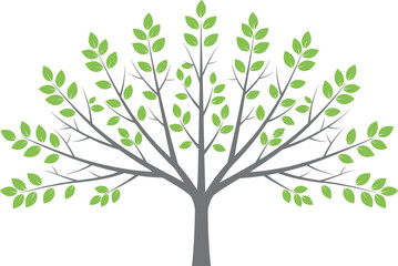 Stylized green tree vector with symmetrical branches and leaves, minimal illustration, nature symbol, growth concept, decorative botanical artwork