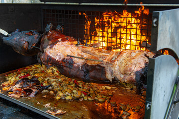 Outdoor piglet grilling. Pork meat garden barbecue. Suckling piglet on a spit over a wood fire with...