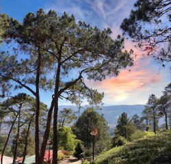 Beautiful view of amazing trees, shot, scenic views and gorgeous blue sky. with a colorful 