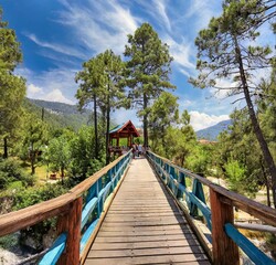 Beautiful view of amazing trees, shot, scenic views and gorgeous blue sky. with a colorful 