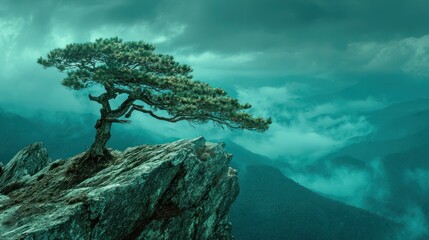 Solitary tree on mountain peak