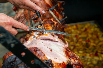 Chef Hands cutting whole grilled pork for steaks with knife. Pig grilled traditional coal and fire. The little piglet is roasted whole on an open fire. Pig on the spit