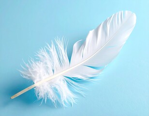 Obraz premium A single delicate white feather floating on a soft blue background.