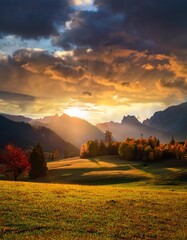 Evening landscape image; over a green field lit by glowing orange sunlight in beautiful magi 