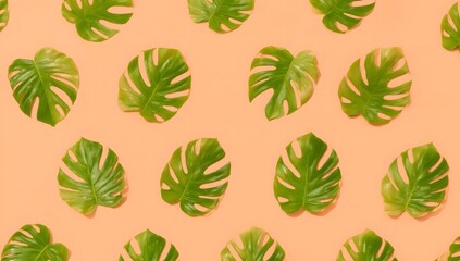 Green Tropical Monstera Leaves on Colorful Background Pattern Design