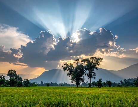 Golden sunset over a rice paddy with dramatic clouds