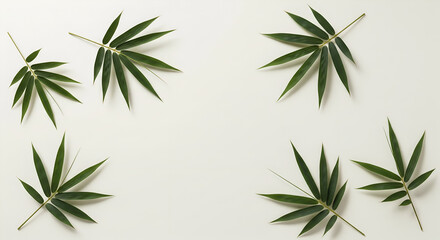 Elegant bamboo leaves arranged on a neutral background creating a serene and minimalist design for modern aesthetics