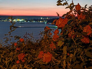 Nice view from Varna and Black sea