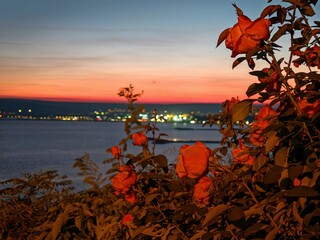 Nice view from Varna and Black sea