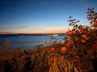 Nice view from Varna and Black sea
