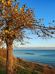 Nice view from Varna and Black sea
