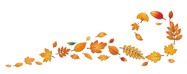 Autumn leaves with a shadow in the form of a spiral are highlighted on a white background. Hello autumn. Seasonal elements for your autumn design. Vector EPS 10.