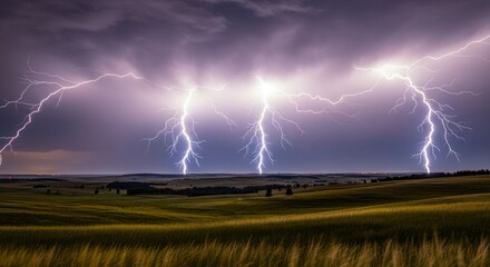 Powerful Lightning Strikes Across Green Field at Night