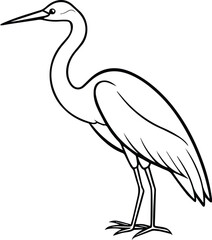 egret outline vector and illustration line art