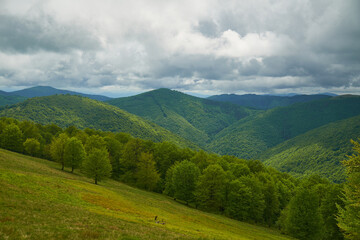 Fototapeta premium Beautiful Carpathian mountains in Ukraine