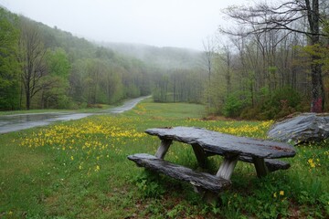 Fototapeta premium A rustic picnic table sits amidst a field of wildflowers on a rainy day, overlooking a misty mountain road.