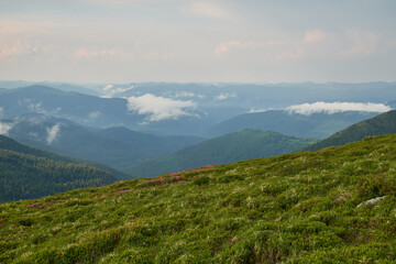 Beautiful Carpathian mountains in Ukraine