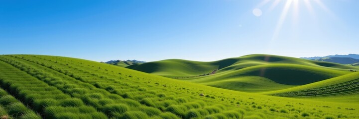 Fototapeta premium Rolling hills of vibrant green grass under a clear blue sky, sunlight illuminating the landscape, sun, tranquil, vibrant