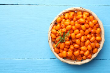 Fresh sea buckthorn berries in wicker bowl and leaves on light blue wooden table, top view. Space for text