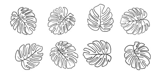 Hand drawn crayon grainy monstera leaves set. Abstract grunge texture shapes. Vector  EPS 10