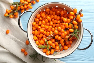 Fresh sea buckthorn berries in metal colander and leaves on light blue wooden table, flat lay