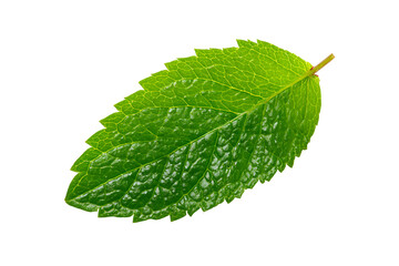 Obraz premium Single green mint leaf, fresh herbal plant realistic icon. Isolated on transparent background.