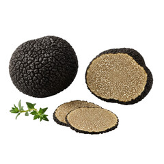 Fresh black truffles: whole, halved, and sliced, with green thyme, isolated on a smooth transparent background in shadowless high-key macro studio shot, luxurious gourmet culinary presentation