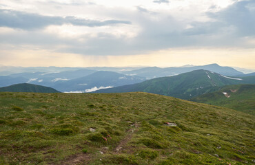 Beautiful Carpathian mountains in Ukraine