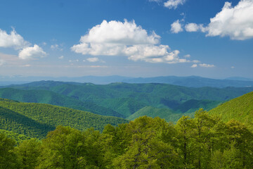 Naklejka premium Beautiful Carpathian mountains in Ukraine