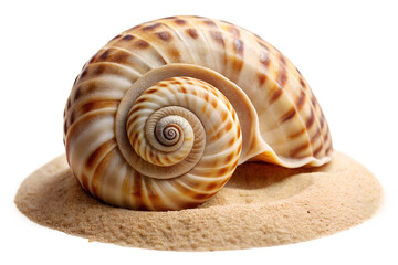 Closeup of a spiral seashell isolated on transparent background, showcasing its intricate patterns and textures, resting on a bed of fine sand