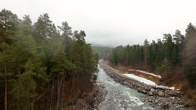 A wide view of a fast-flowing mountain river cutting through a valley flanked by dense, dark green pine forest under a dramatic, overcast sky with patches of snow on the bank