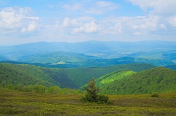 Fototapeta premium Beautiful Carpathian mountains in Ukraine