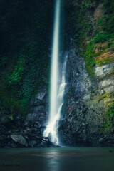 waterfall in the forest